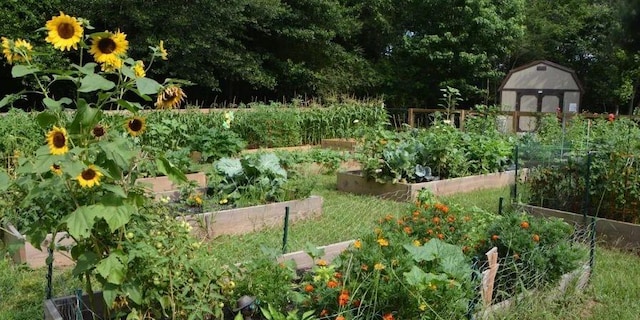 view of yard featuring an outbuilding, a garden, and a storage unit