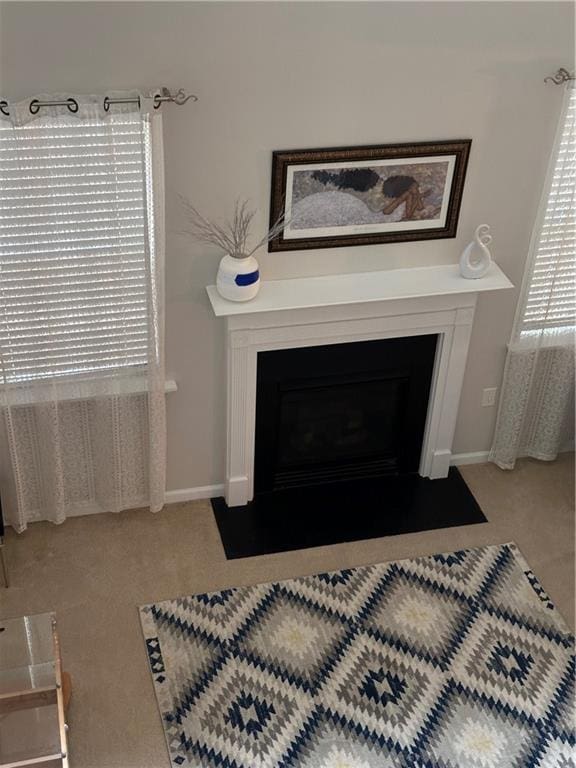 details featuring a fireplace with flush hearth, carpet, and baseboards