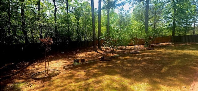 view of yard featuring a fenced backyard