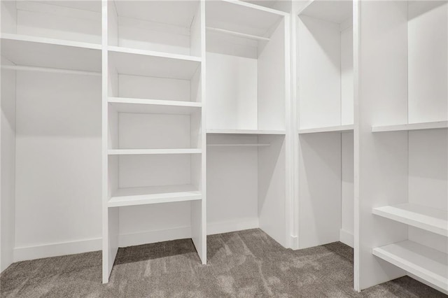 walk in closet featuring carpet flooring