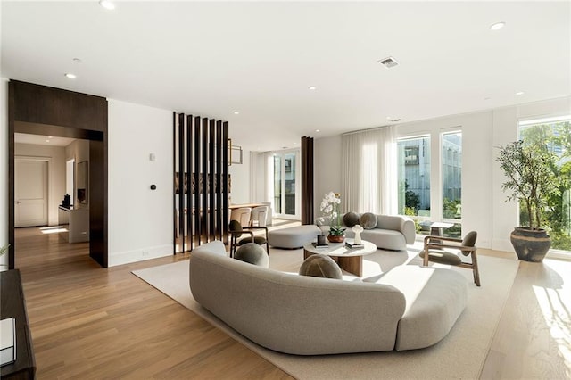 living room featuring a healthy amount of sunlight and light wood-type flooring