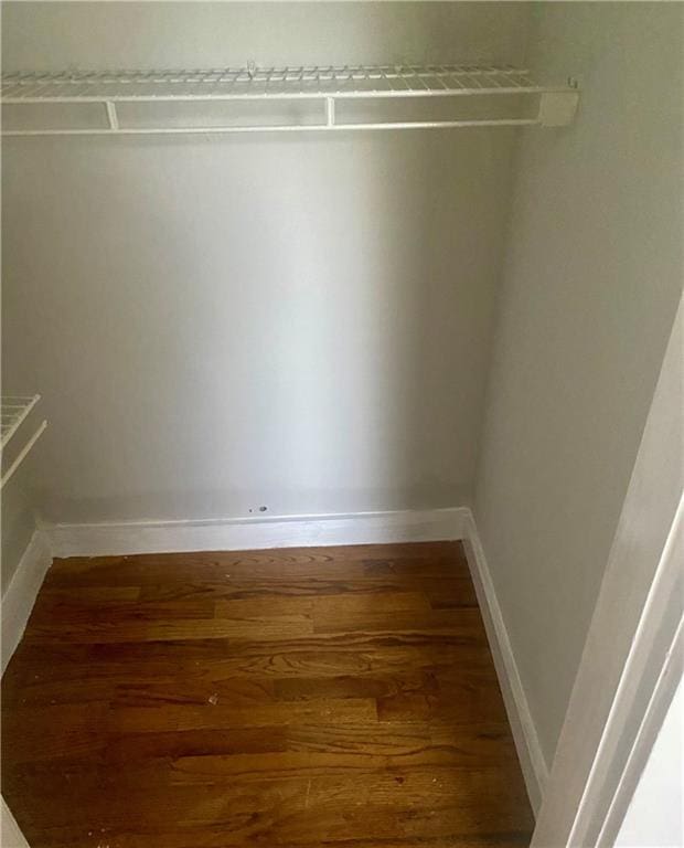 walk in closet featuring wood-type flooring