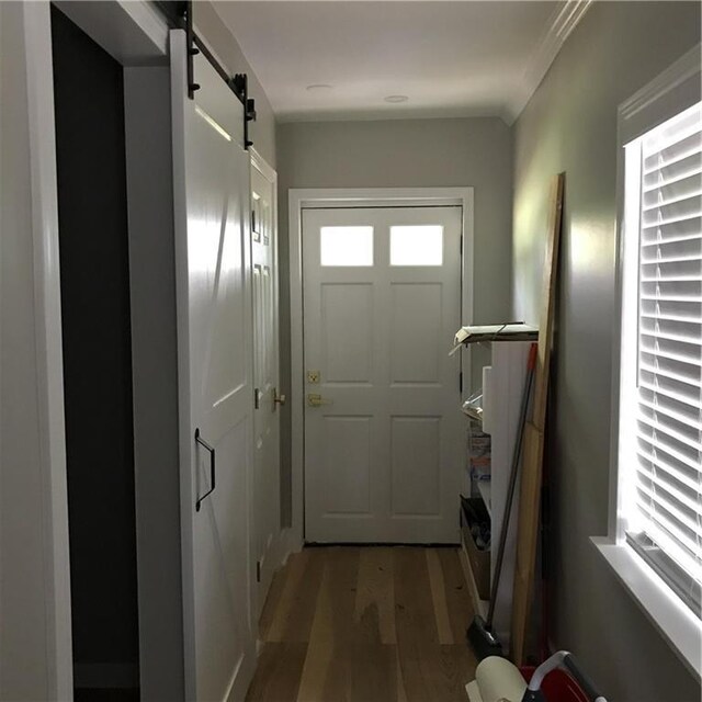 doorway featuring a barn door and light wood-type flooring