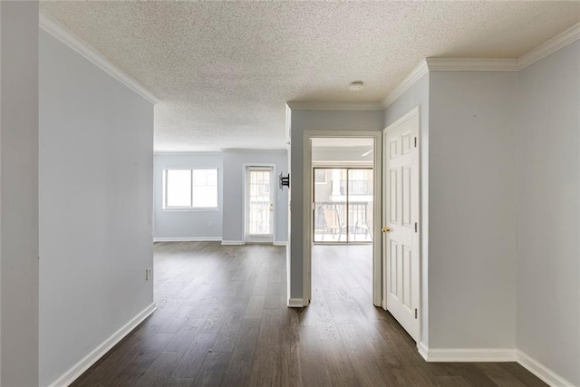 795 Hammond Dr Unit 503, Sandy Springs, GA 30328 - hallway with a textured ceiling, dark wood-style floors, and crown molding