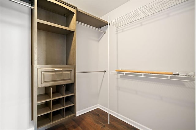 spacious closet with dark wood-style floors