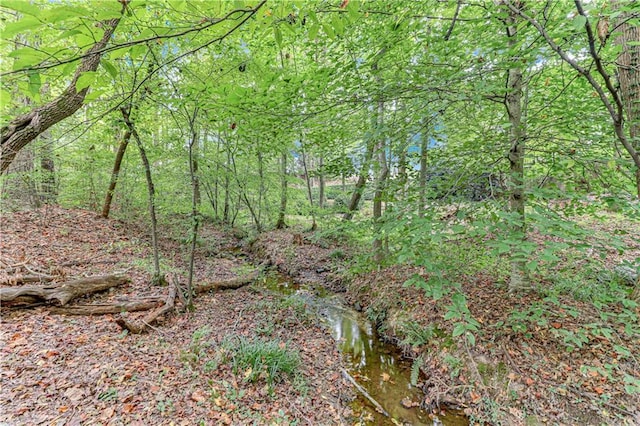 view of landscape