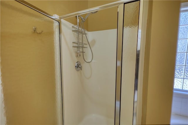 bathroom featuring a shower stall