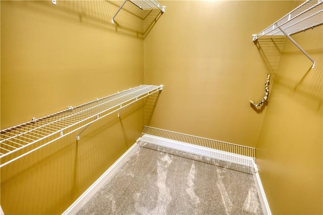 spacious closet with carpet floors