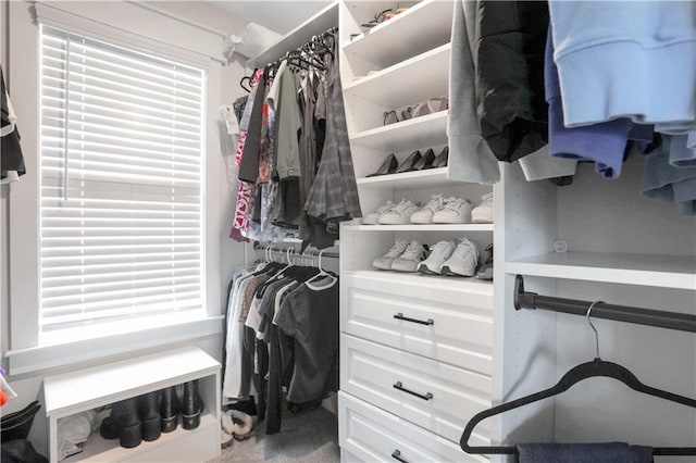 view of spacious closet