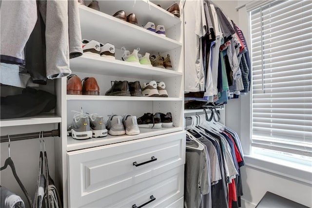 view of walk in closet