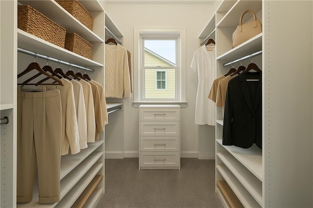 146 Rowan Ave, Alpharetta, GA 30009 - walk in closet with carpet flooring