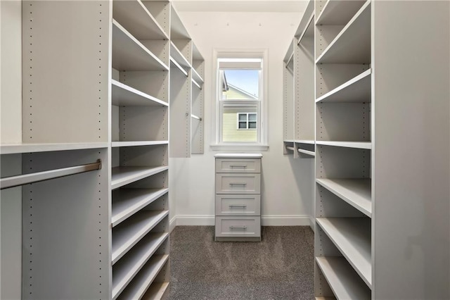 spacious closet with dark carpet