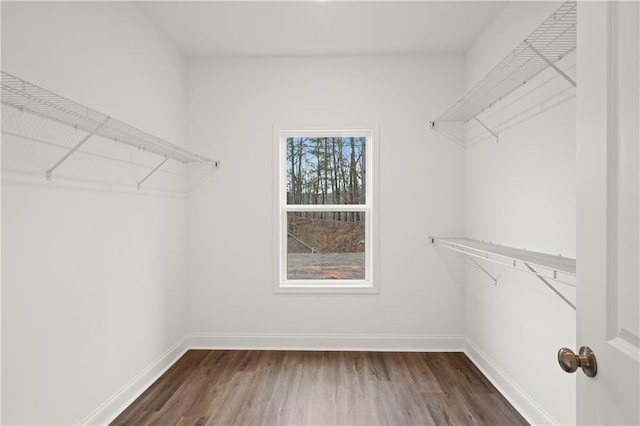 walk in closet featuring dark wood finished floors