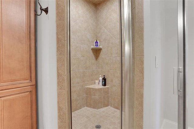 bathroom with a stall shower