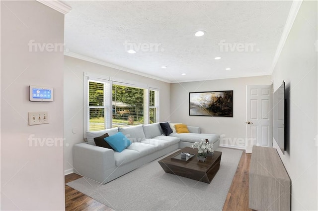 living room with wood-type flooring and crown molding