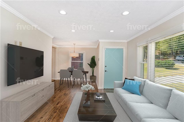 living room with crown molding and wood-type flooring