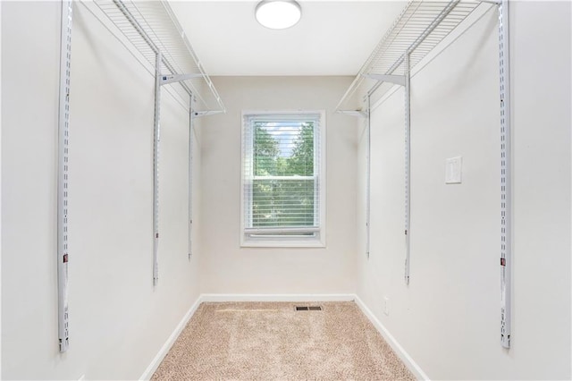 spacious closet with light carpet