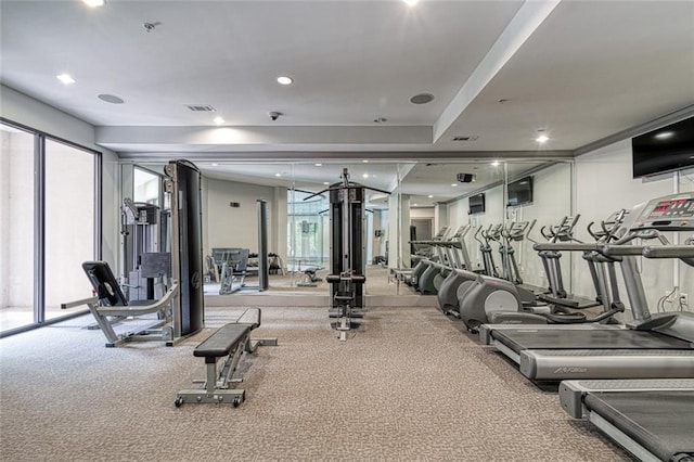 exercise room featuring carpet floors