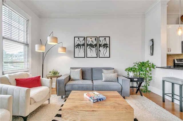 living room with crown molding and light hardwood / wood-style flooring