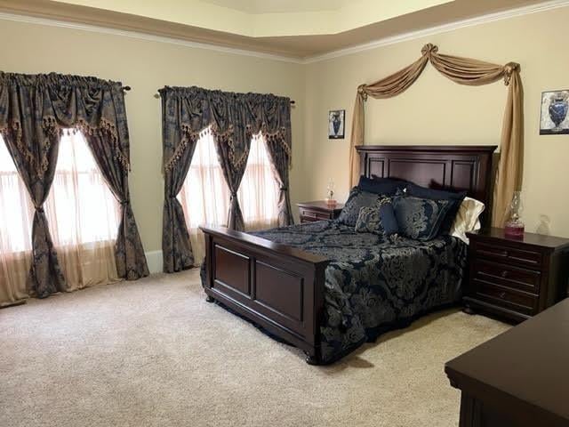 bedroom with a tray ceiling, ornamental molding, multiple windows, and light colored carpet