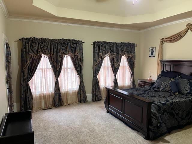 bedroom with light carpet, a raised ceiling, and crown molding