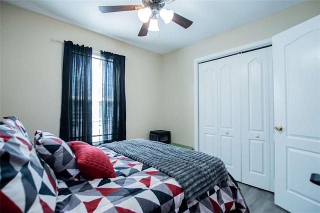 bedroom featuring wood finished floors, multiple windows, a closet, and a ceiling fan