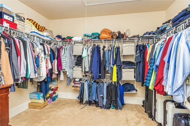 139 Village Park Dr, Newnan, GA 30265 - walk in closet featuring carpet and attic access