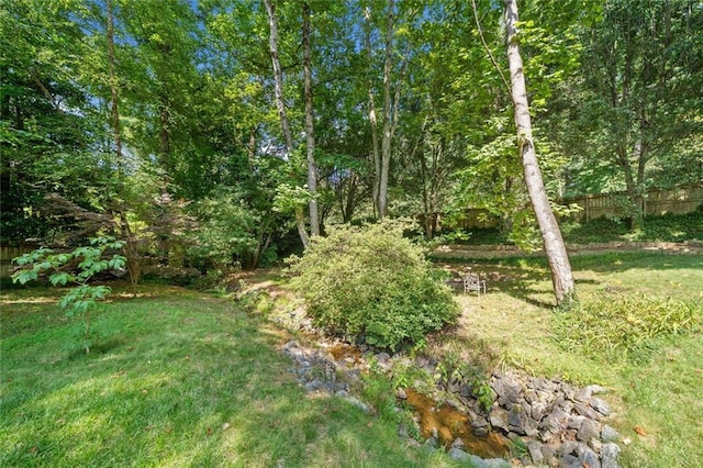 786 Mitsy Pt, Marietta, GA 30068 - view of yard