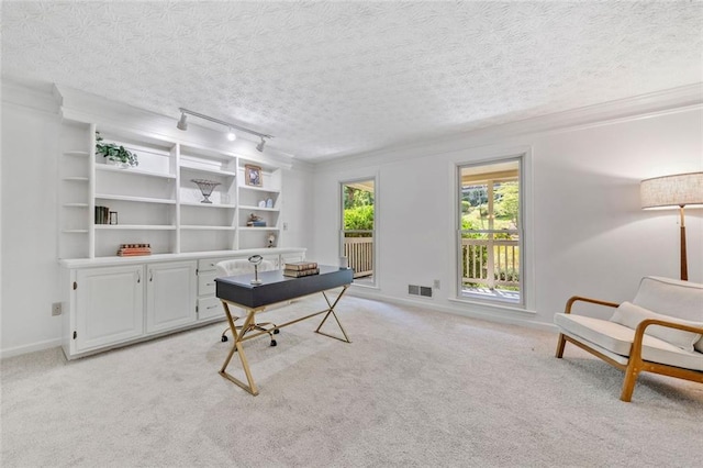 786 Mitsy Pt, Marietta, GA 30068 - office with crown molding, light carpet, and a textured ceiling
