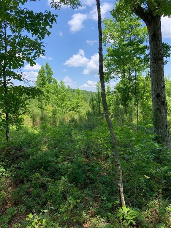 0 Windridge Rd, Temple, GA 30179
