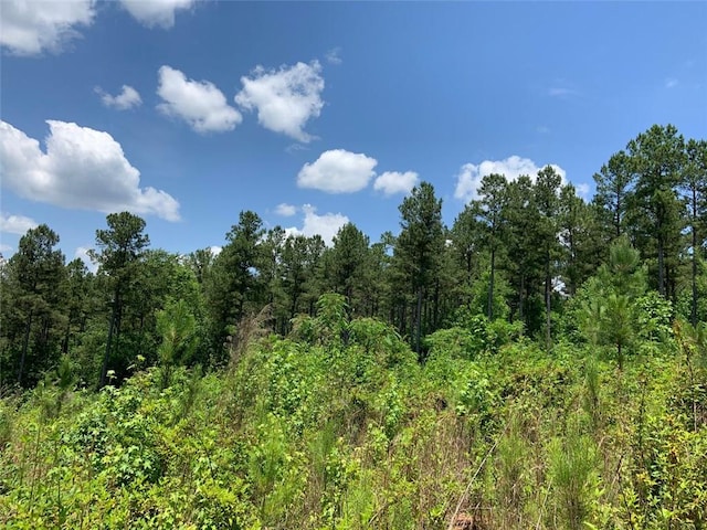 0 Windridge Rd, Temple, GA 30179