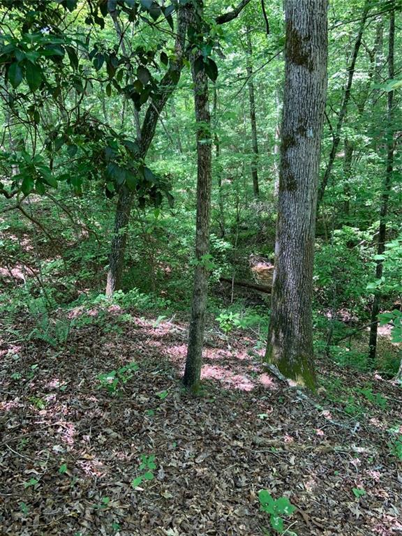 0 Windridge Rd, Temple, GA 30179