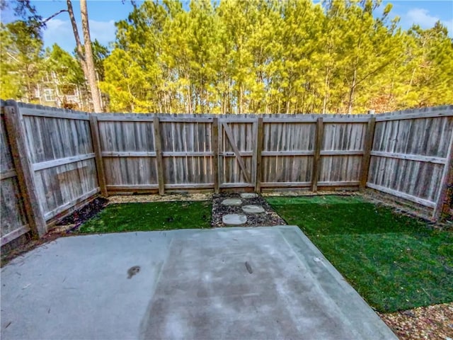 view of yard featuring a patio area