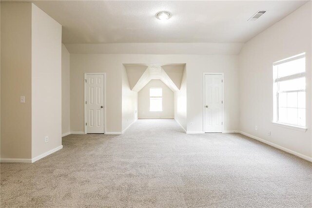 interior space featuring light carpet and a healthy amount of sunlight