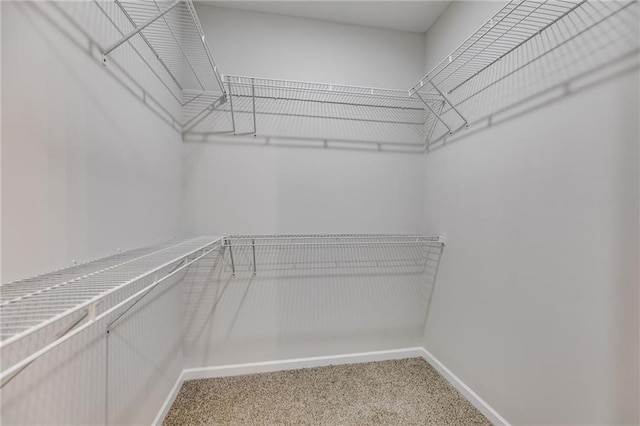 walk in closet featuring carpet