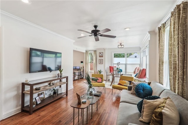 living room with ornamental molding, dark wood-type flooring, and ceiling fan