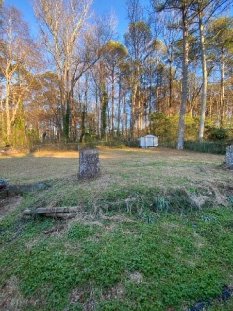 view of yard with a shed