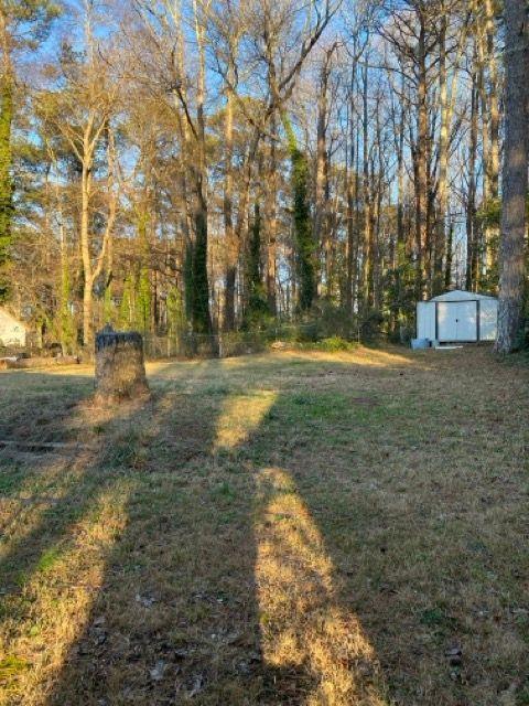 view of yard featuring a storage unit