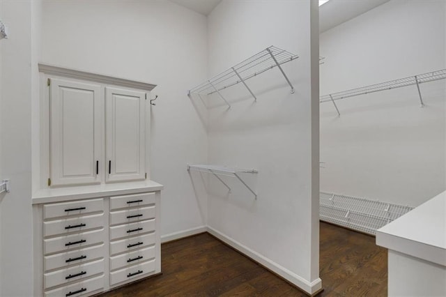 spacious closet featuring dark wood-style floors