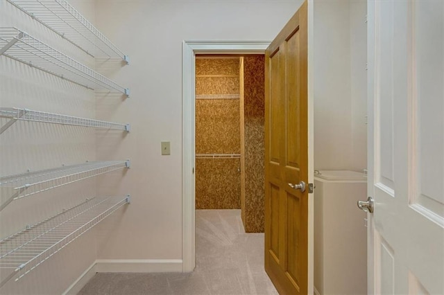 walk in closet featuring carpet