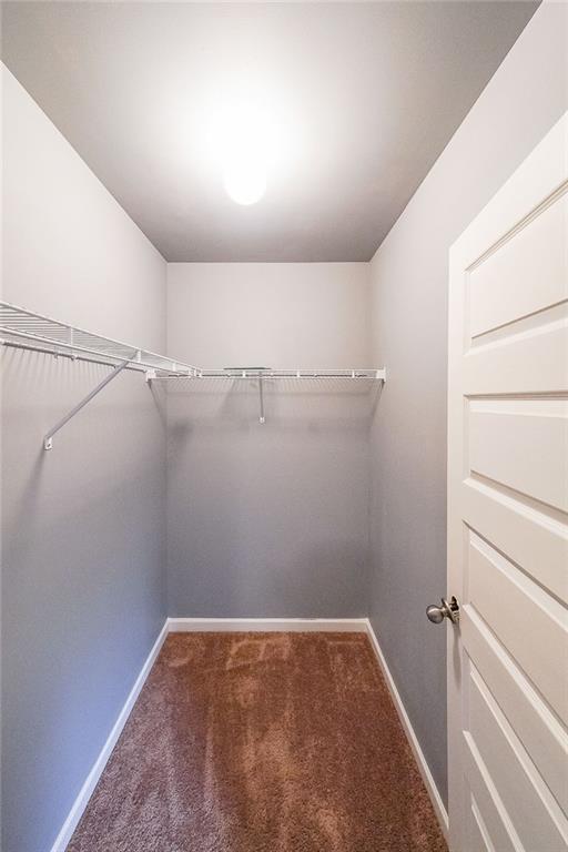 walk in closet with carpet flooring