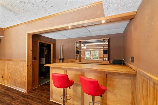 5073 Kingsbridge Pass, Powder Springs, GA 30127 - bar featuring wood walls, dark wood-style floors, a dry bar, wainscoting, and a textured ceiling