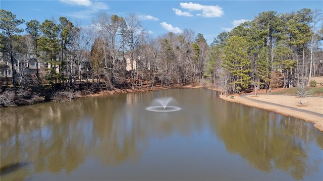 5073 Kingsbridge Pass, Powder Springs, GA 30127 - view of water feature