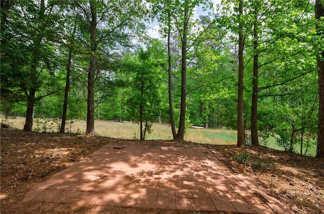 exterior space with a view of trees and a patio area