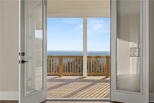 entryway with wood-type flooring, a wealth of natural light, and a water view