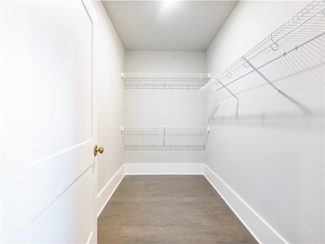 walk in closet featuring dark wood-type flooring