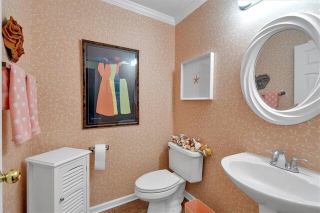 3573 Willow Tree Trce, Decatur, GA 30034 - bathroom with ornamental molding, a sink, and toilet