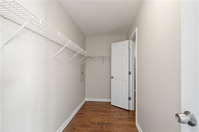 walk in closet with dark wood-type flooring