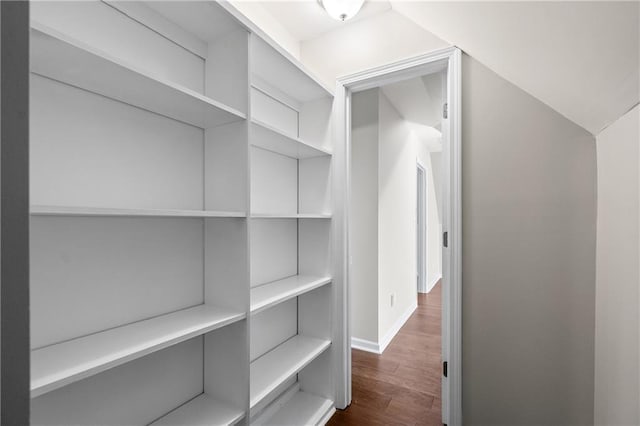 spacious closet featuring dark wood-type flooring