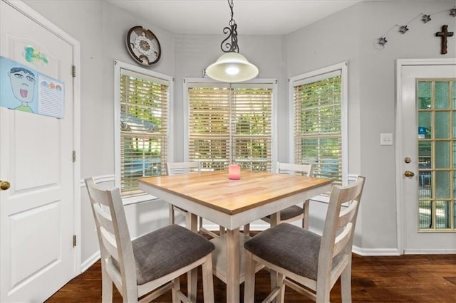 858 Red Rock Ct, Suwanee, GA 30024 - dining room featuring plenty of natural light and dark wood finished floors